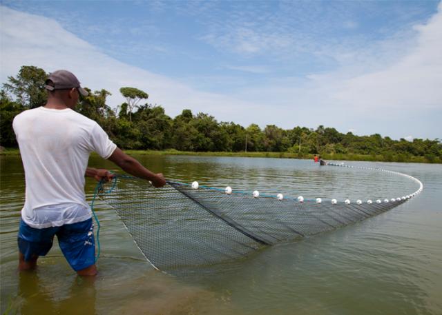 CRIADOR DE PEIXES E CAMARÕES PODERÁ SER CONSIDERADO PRODUTOR RURAL